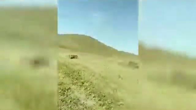 Кыргызстан пресподборшик мтз 82.1 смотреть онлайн