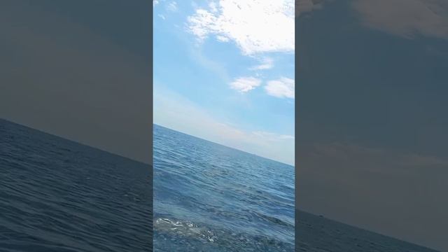 Адлер Сочи Сириус 🌊☀