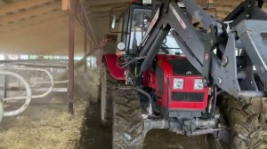 Чистим коровник во время дождя