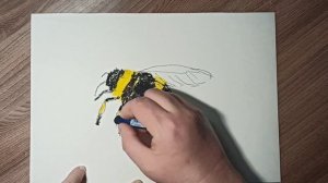 Как нарисовать шмеля масляной пастелью.