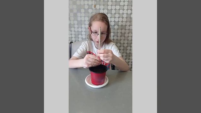 Растущий карандаш