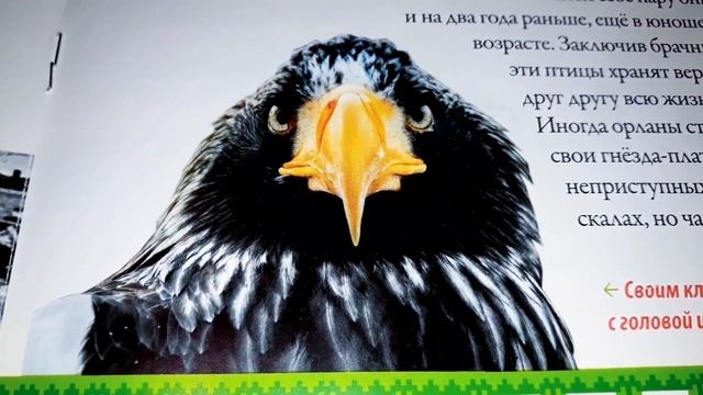 Моя страна Собери Карту России от Hachette Выпуск № 73/ My country Collect the Map of Russia