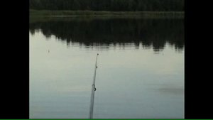 Ловля крупного леща на удочку с лодки. 2009 год