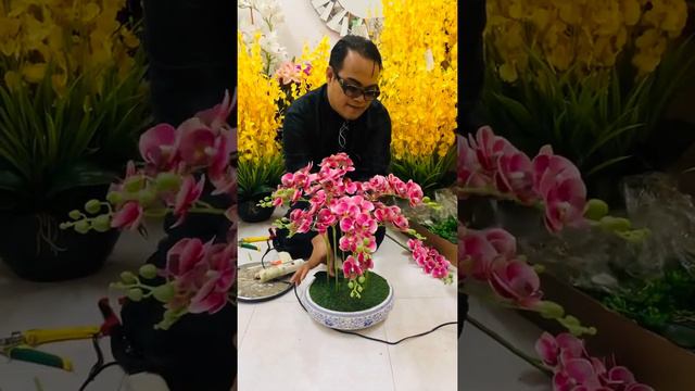 Cute Mini Phalaenopsis смотреть онлайн