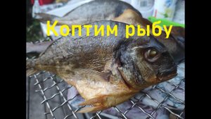 Как закоптить рыбу в домашних условиях.Коптим рыбу.