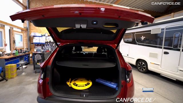 SCHUTZ VOR DIEBSTAHL FÜR HYUNDAI IONIQ 5 TUCSON KONA | Pandora Elite Alarmanlage | AUTO GESTOHLEN смотреть онлайн