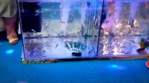 спасибо Витязево за тёплый приём ?