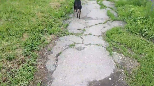 🐶🐶🐶🐶🐶🐶🐶🐶🐶🐶🐶🐶🐶🐶🐶🐶🐶 барахолка распродажа луганск товар интересные люди вещи ссср техника советская смотреть онлайн