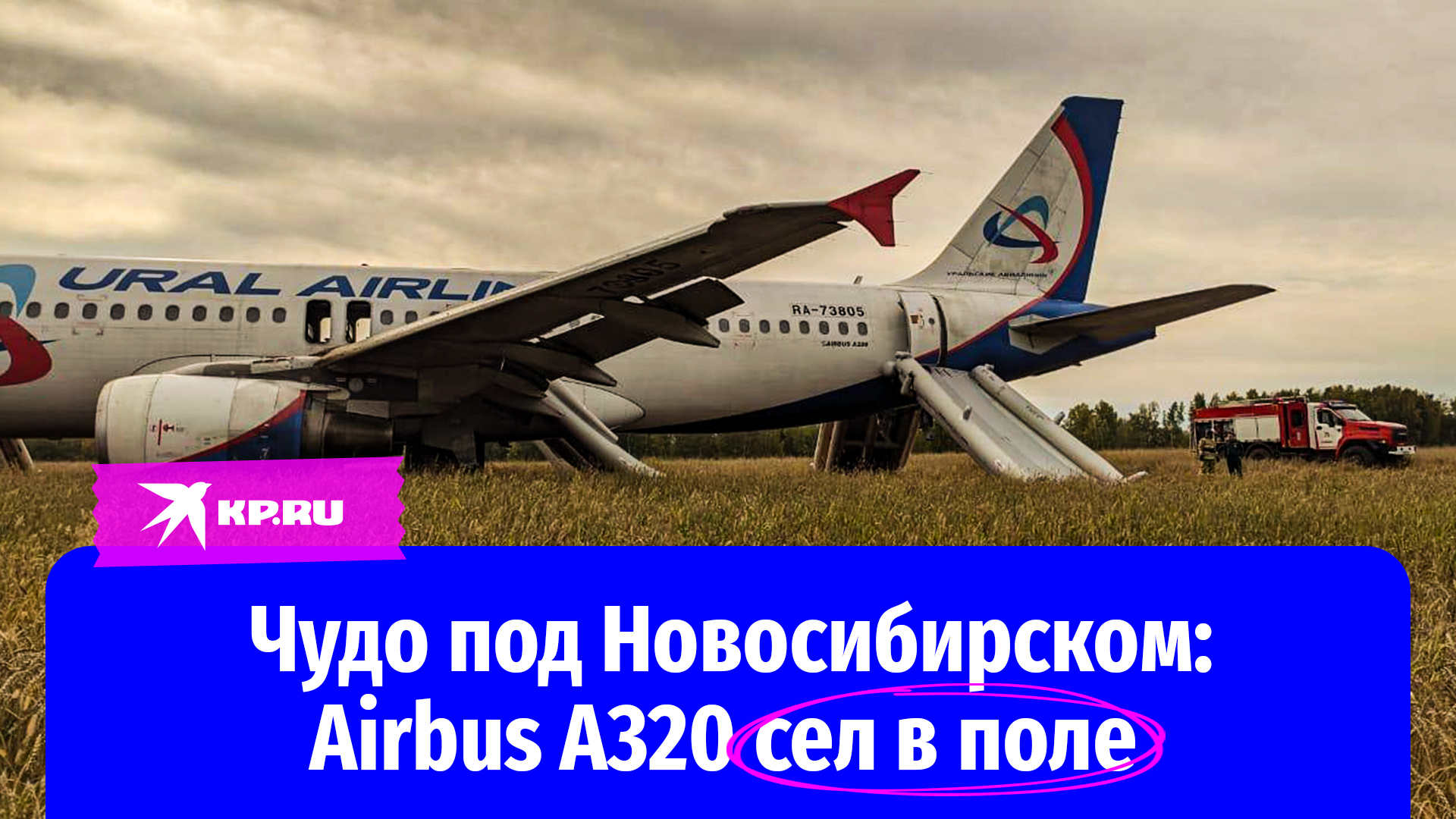 Airbus A320 сел в поле в Новосибирской области
