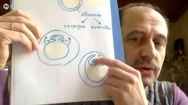 биология 7 класс