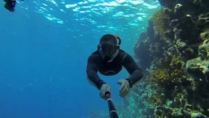Reef off the hotel Grand Rotana Egypt. Snorkelling.Red Sea.