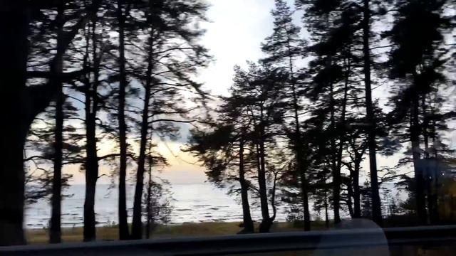 РЕАКЦИЯ ДОЧЕК на НАШУ ДАЧУ смотреть онлайн