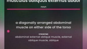 Musculus obliquus externus abdominis — definition of MUSCULUS OBLIQUUS EXTERNUS ABDOMINIS