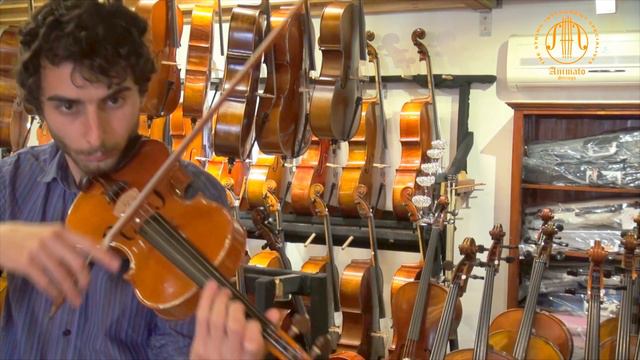 Violin made by Barbara Piccinotti in Cremona Italy 2015