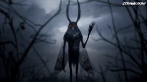 Кто такой Человек-мотылек? | Mothman