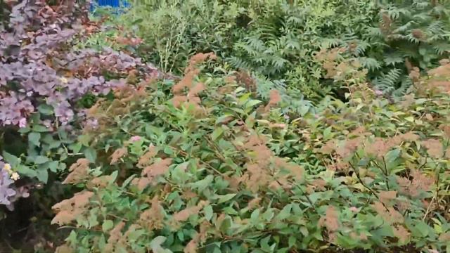 Загадка для подписчиков смотреть онлайн