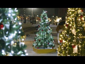 Чебоксары претендуют на звание новогодней столицы России -2024