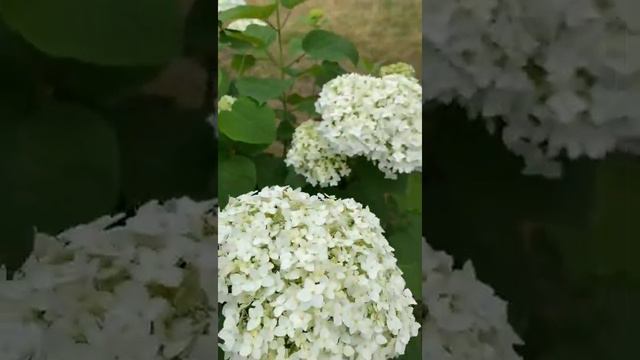 5 июля 2021 г. смотреть онлайн