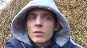 Сено, Солома , телки , мини обзор. - Лпх Дом Велеса - жизнь за городом