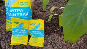 Забудьте о вершинной гнили на перце сладком!! Супер смесь для профилактики. Только в мае!!