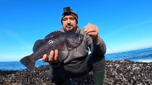 УСПЕШНАЯ ЛОВЛЯ МОРСКОГО ОКУНЯ НА ТИХОМ ОКЕАНЕ