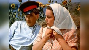 Тихий Дон. 1 книга (том). Краткое содержание