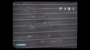 Олимпиада 64 мужчины 400 вольный стиль