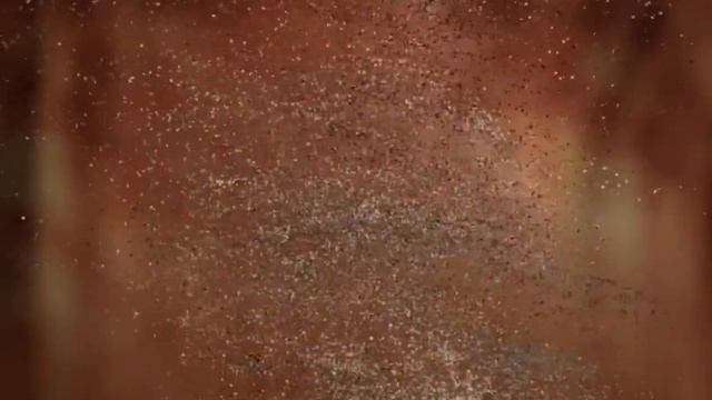 Женский портрет. Фотограф -Астахова Мария astakhovaphoto.ru ссылки на сайт в комментариях смотреть онлайн