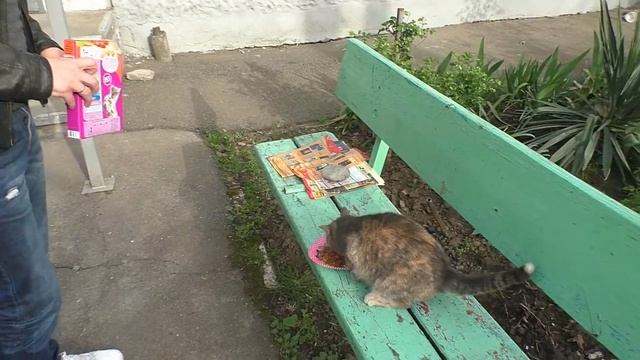 ТРОЛЛИ 2! Нашла РЕДКУЮ карточку! // ТРОЛЛИ из ПЯТЕРОЧКИ