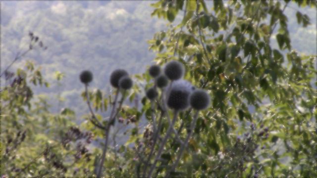 Terje Rypdal - The Pleasure Is Mine, I'm Sure смотреть онлайн