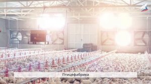 Животноводство как технология выращивания животных