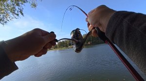 Соревнования по спиннингу в сергиевом-посаде...рыбалка на лесном озере...