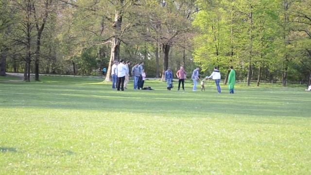 Аттракцион "Попади в меня мячом за 2 евро" смотреть онлайн