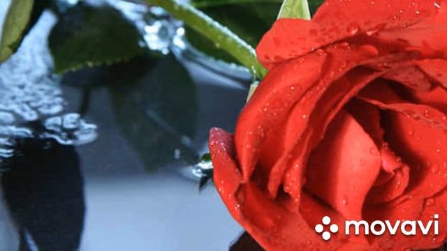 НАС УЖЕ 10000/ОТКРЫТКА/СПАСИБО смотреть онлайн