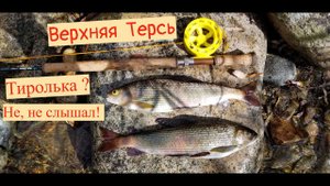 Ловля хариуса методом Czech Nymph на р. Верхняя Терсь