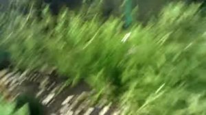 Галактическая история, часть 2. Месяц спустя