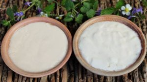 Натуральный йогурт на закваске и десерт на основе йогурта