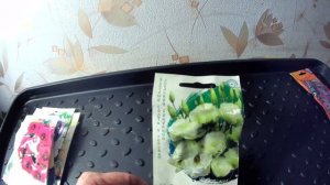 ОБЗОР ПРОВЕРЕННЫХ СОРТОВ ЭУСТОМЫ. Условия успешной зимовки ЭУСТОМЫ в квартире.