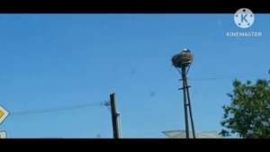 238. Взяли Катерину на прогулку в Словакию, Голич, православная церковь. 03.06.2023 г.