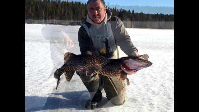 Скоро премьера смотреть онлайн