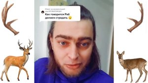 КТО ТАКОЙ АЛЕНЬ / Откуда берутся Алени