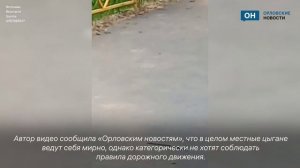 Жители Селикатного переулка жалуются на цыганские автогонки около детской площадки