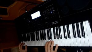 Modern Tolking - Cheri Cheri Lady - на синтезаторе Casio CTK-7200