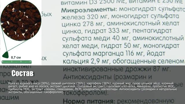 Обзор корма Arden Grange Kitten смотреть онлайн