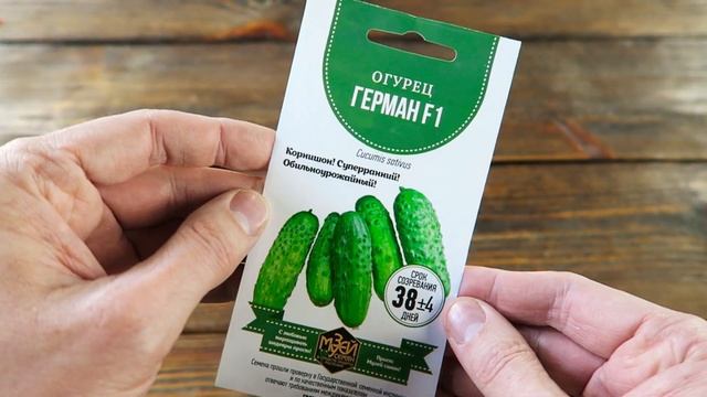 Семена огурца Герман ? Хрустящие и сладкие огурчики!
