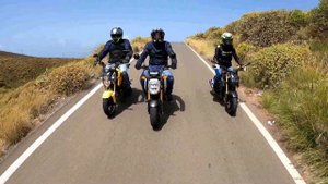 Honda MSX125 Grom 2021... Honda MSX Forever