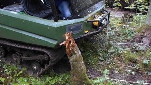 Пелец Круизер 690 и лебедка