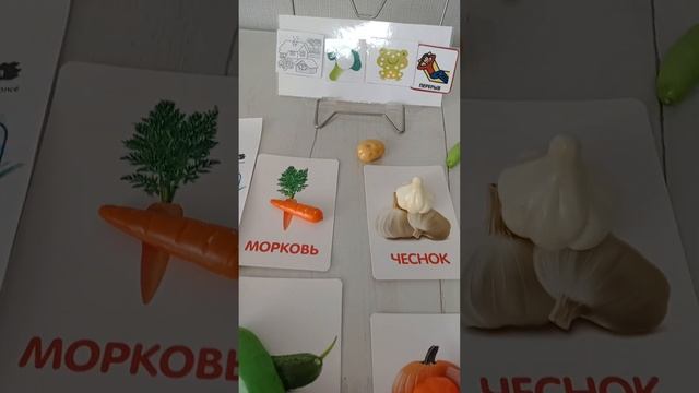 Простые занятия дома с детьми  РАС.