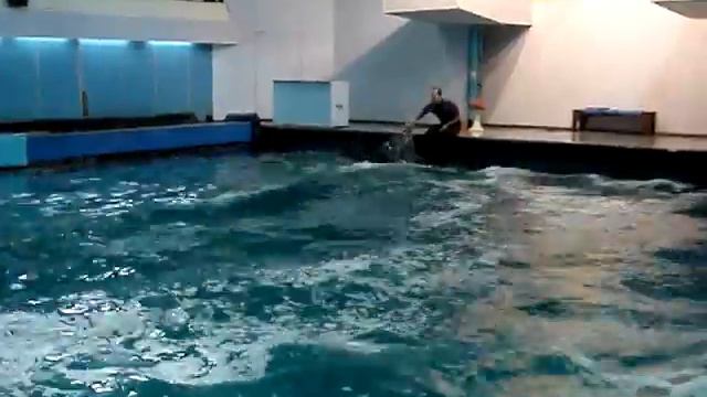 РЫБНЫЙ ДЕНЬ смотреть онлайн