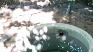 БУКЕТ НА ЗАКАЗ ИЗ САДОВЫХ ЦВЕТОВ. РОДНЫЕ ДЕРЕВЕНСКИЕ ПРОСТОРЫ.